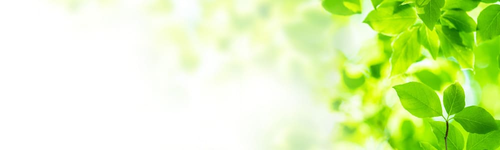 �y���ʂ���I�z�r���[�e�B�[�N�����W���O�o�[���̏����N�����W���O�������������y���R�~���`�F�b�N�z